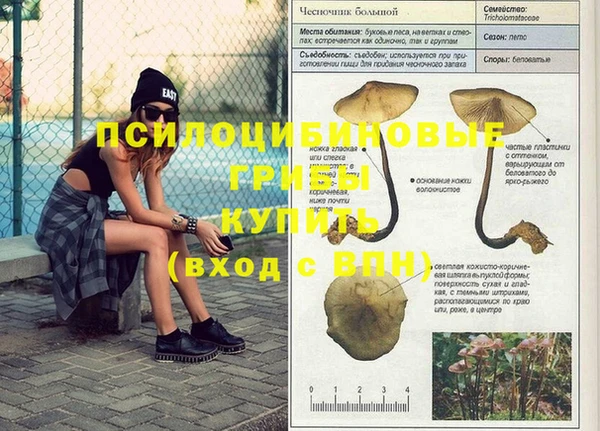 каннабис Бронницы