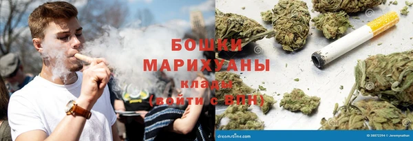 мет Бородино