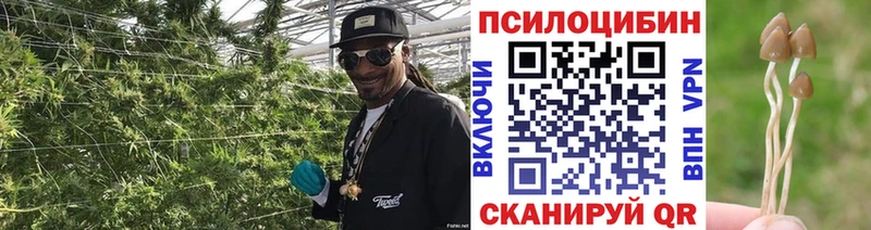 Галлюциногенные грибы ЛСД  это клад  Валуйки  цена наркотик 